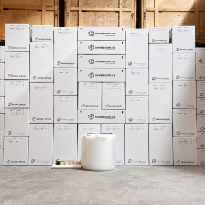 professional moving boxes